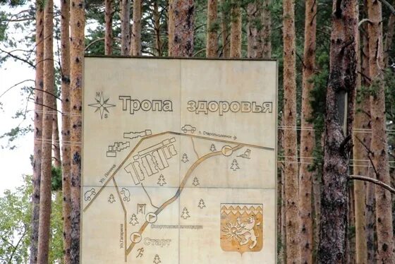 Тропа здоровья новоберезовский. Березовский свердловская область сквер. Тропа здоровья свердловская область. Березовский лес воткинск проект. Тропа здоровья в березовском свердловской.