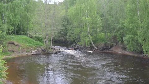 Рыбалка на реке вьюнка