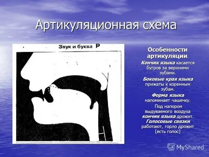 Звуки голоса положение