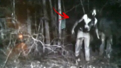 Реальные истории из жизни про мертвецов
