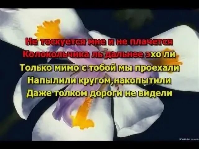 Позови меня на закате дня
