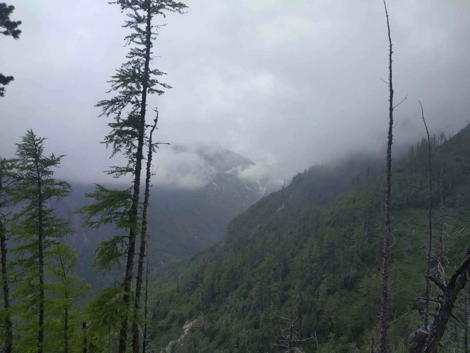 Поселок аршан. Осетите поселок аршан. Аршан 2023 год. Аршан осень. Аршан 2023 год.