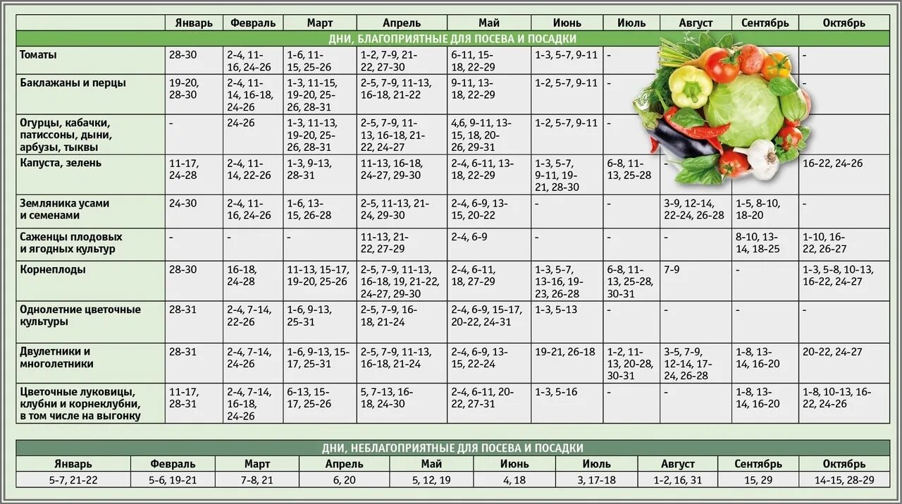 Посевной календарь на 2024 год дачный участок
