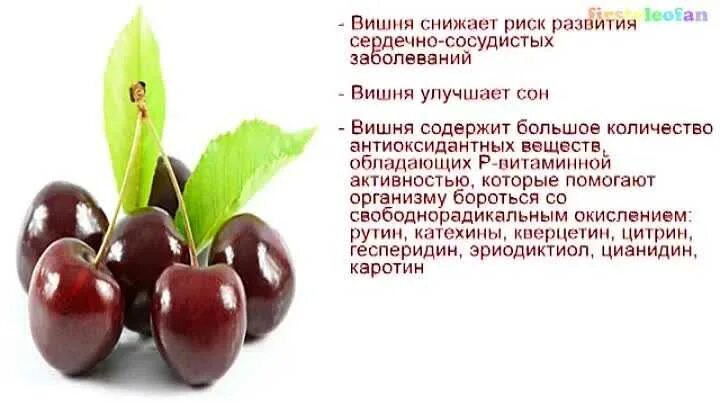 Черешня польза. Черешня при сахарном диабете. Черешня полезные качества. Черешня витамины содержит. Черешня полезные свойства.