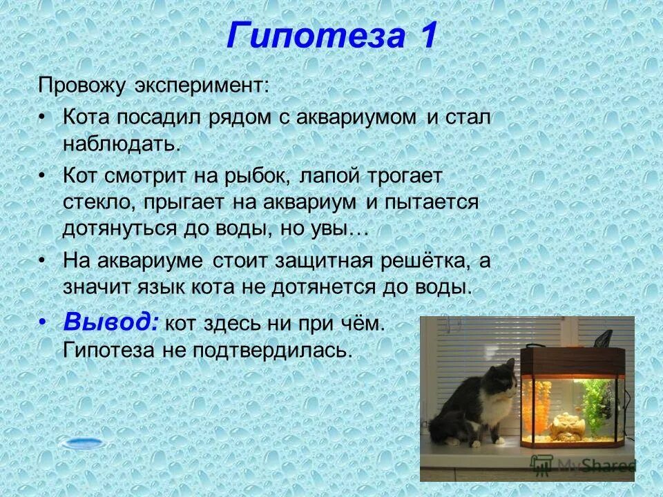 Этапы проведения экспериментирования. Эксперимент для презентации. Провести эксперимент. Исследование эксперимент. Порядок проведения научного эксперимента.