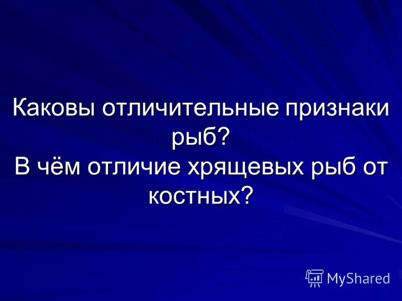 отличительные черты. какова характерная черта. какова характерная черта. информационное общество признаки и характерные черты. наука особенности черты.
