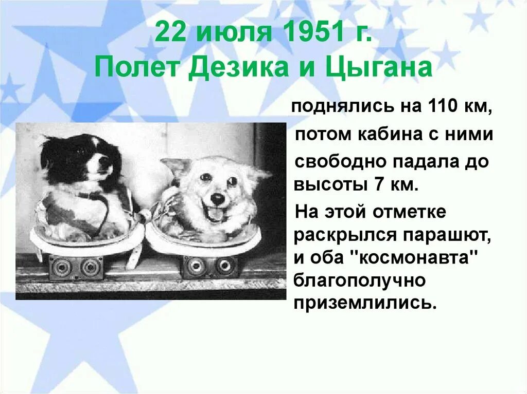 дезик и цыган белка и стрелка. первые животные в космосе цыган и дезик. животные в космосе дезик и цыган. дворняги дезик и цыган. 1951г.