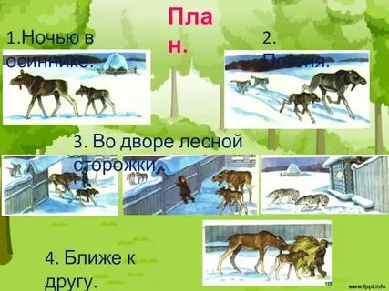 Митины друзья скребицкий