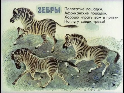 Полоски и пятнышки