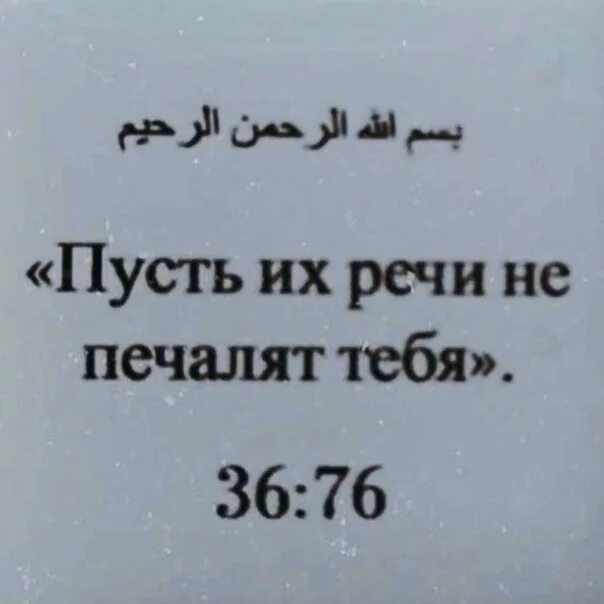 Храбрость не продлит мне жизнь а трусость. Клянусь Аллахом трусость не продлит мне жизнь. Страх не продлит мне жизнь а храбрость. Клянусь Аллахом трусость. Храбрость не уменьшит жизнь трусость не продлит.