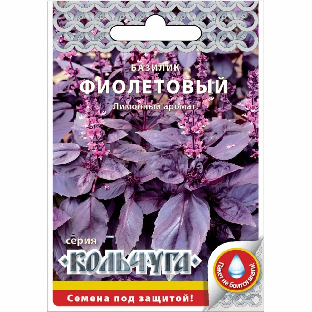 Базилик фиолетовый для чего. Базилик фиолетовый &quot;кольчуга&quot; нк. базилик рубиновый букет(фиолет) 0,3 г. семена базилик фиолетовый xxxl. гавриш базилик застольный.