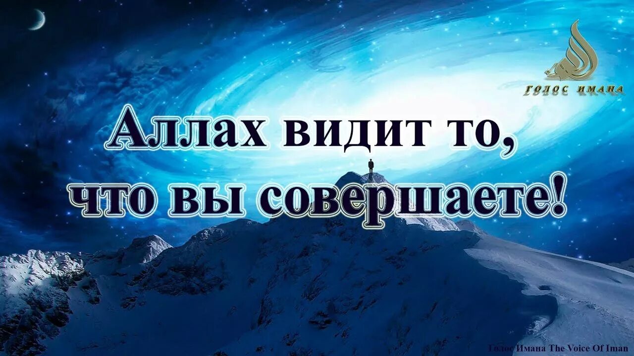 Видящий том 2 слушать