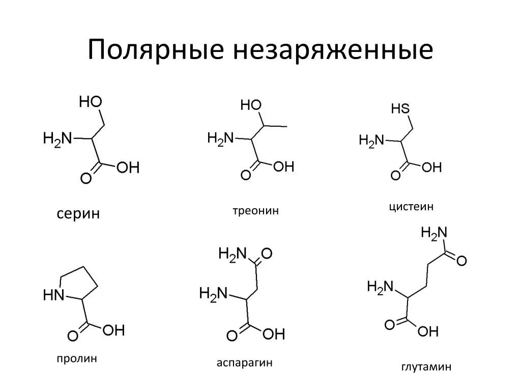 Аспарагилглутамилпролин. Треонин строение. Треонин формула химическая. Треонин аминокислота формула. Треонин это