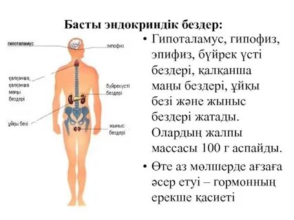 Трусики порно орыс тілінде