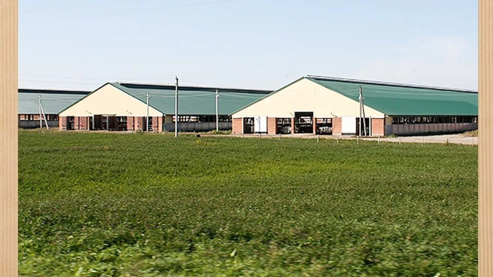 Сити фермерство дети. Школа ферма. Игра голден фарм дачники. Life professional super farm. Учебное хозяйство.