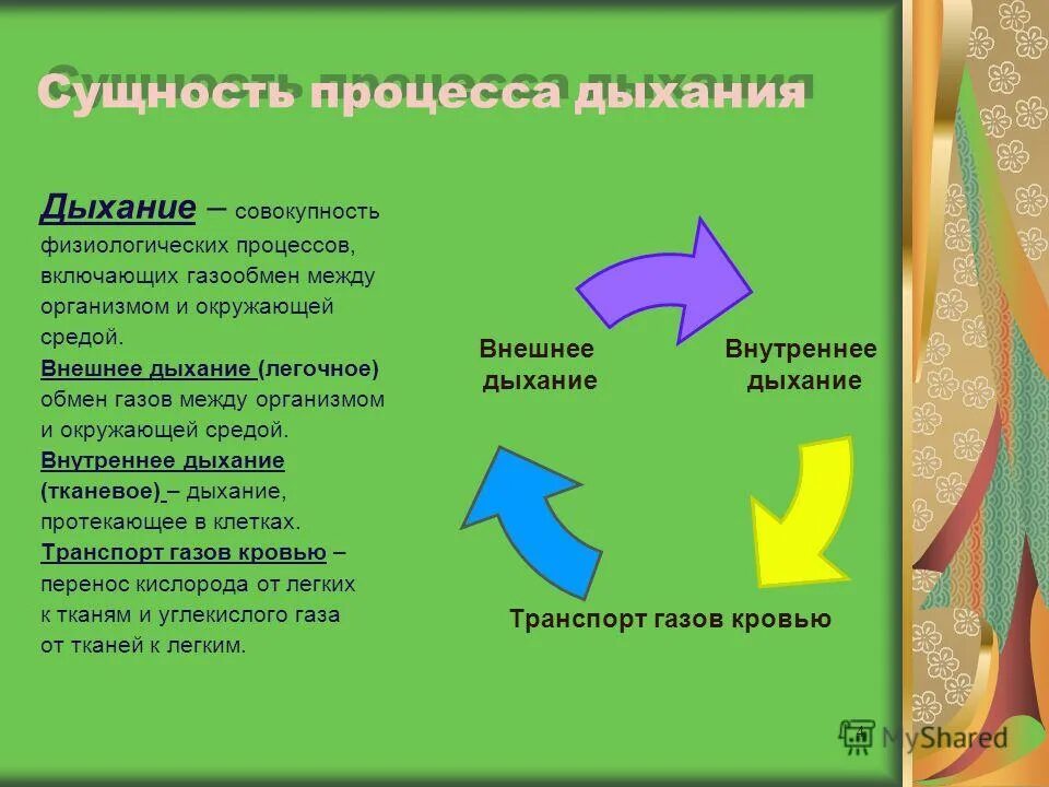 Значение и сущность дыхания. Раскройте анатомическую и физиологическую сущность процесса дыхания. Раскройте анатомическую и физиологическую сущность процесса дыхания. Раскройте анатомическую и физиологическую сущность процесса дыхания. Значение процесса дыхания.