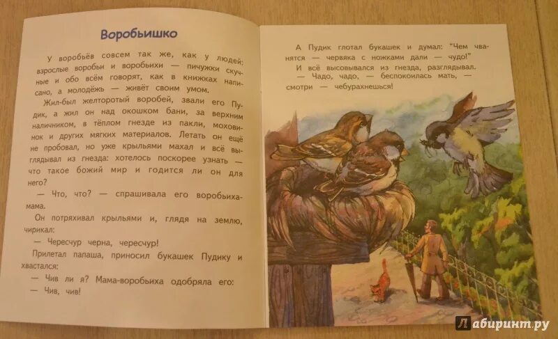 Воробушек рассказ ждановны глава 37. 3. «Воробьишко» м. Горький. Книжка Воробьишко Максима Горького. Воробьишко Горький книга. Рассказ Горького Воробьишко.