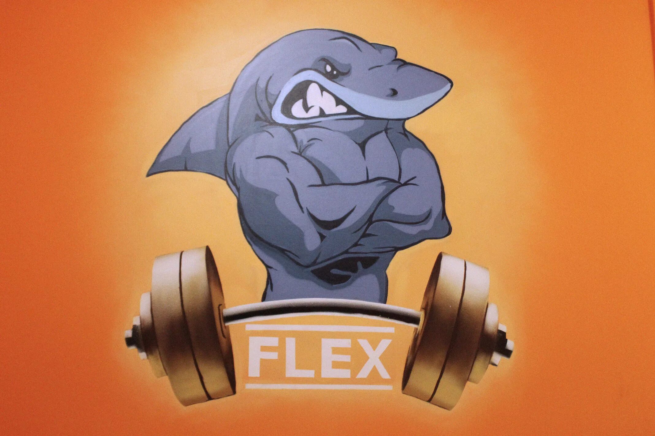 Приложение флекс. Flex. Flex на аву. Флекс картинки. Флекс провайдер.