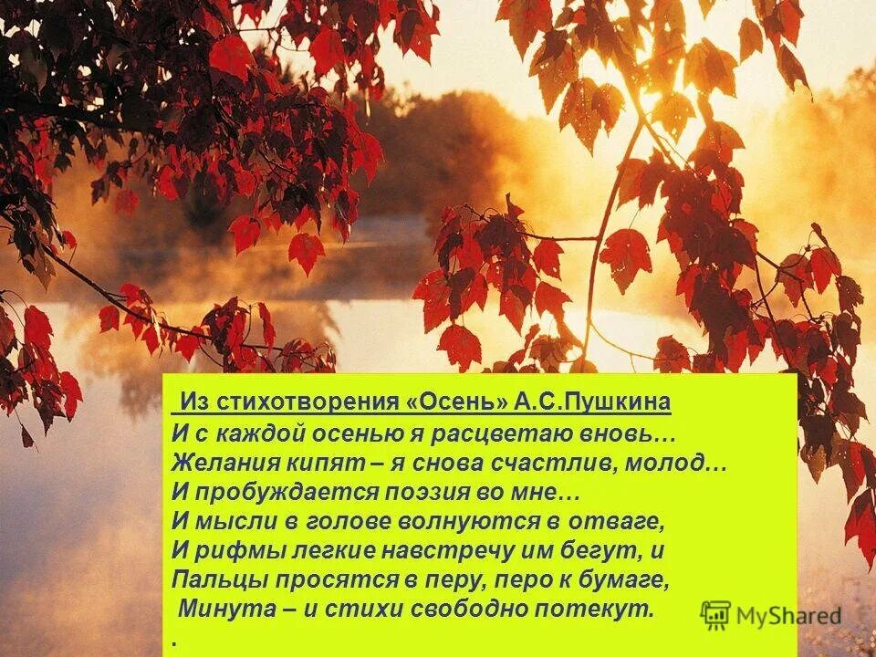 Осенний отрывок. Стихи Пушкина про осень. Пушкин стихи про осень. Стихотворение Пушкина про осень. Пушкин осень стихотворение.