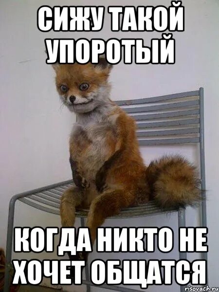 Ну не хочешь как хочешь. Ну не хочешь как хочешь