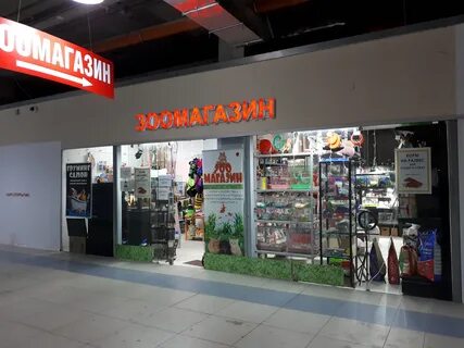 Москва мкад 32 й километр вл4