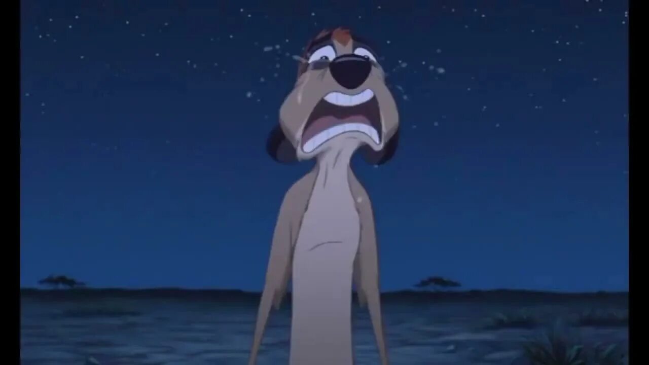Timon rdd