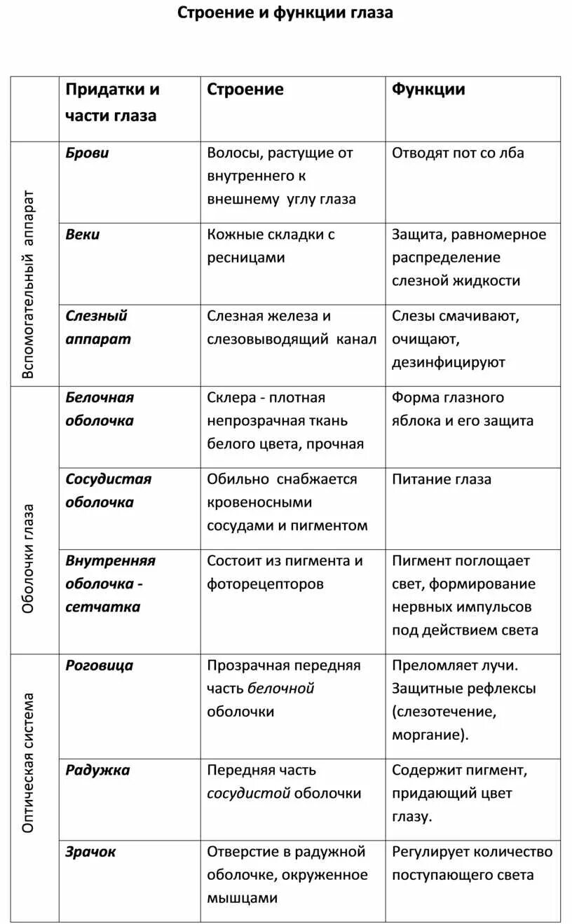 Строение и функции глаза таблица. Структура глаза особенности строения функции. Строение глаза таблица структура строение функции. Строение зрительного анализатора биология 8 класс таблица.