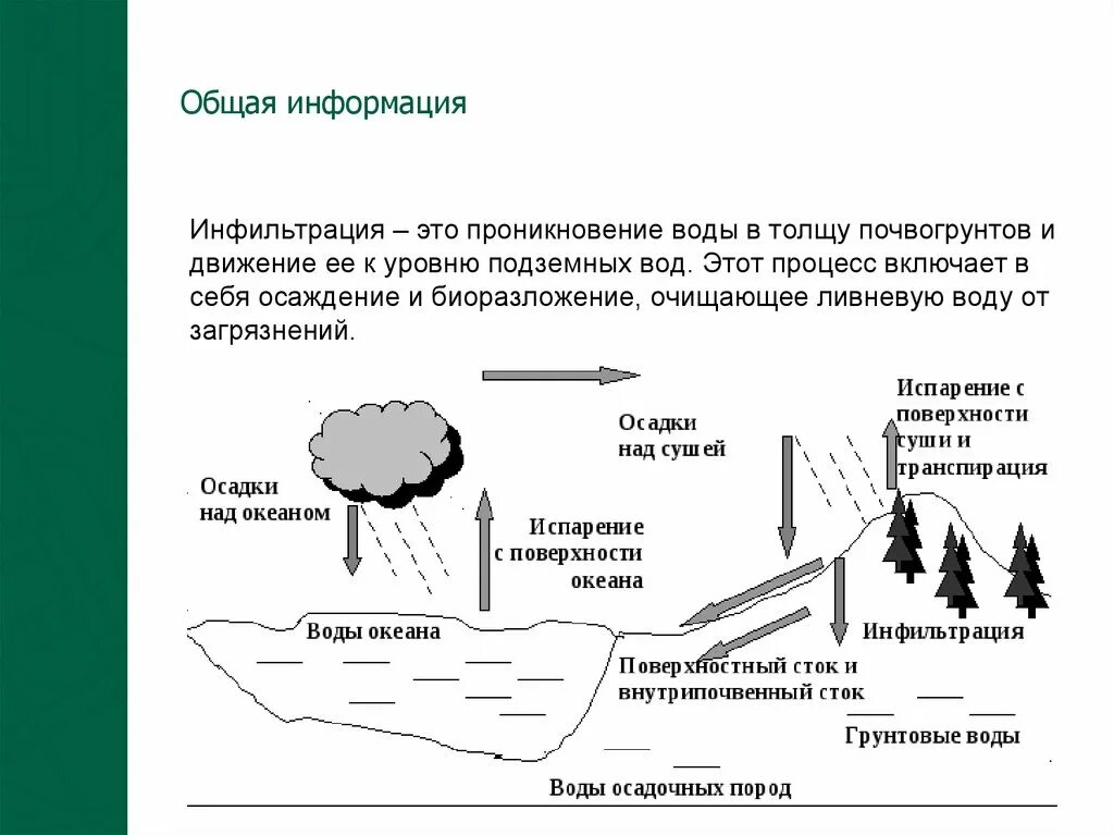 Инфильтрационное питание подземных вод. Инфильтрация грунтовых вод. Циркуляция подземных вод. Инфильтрация воды презентация. Инфильтрация подземных вод схема.