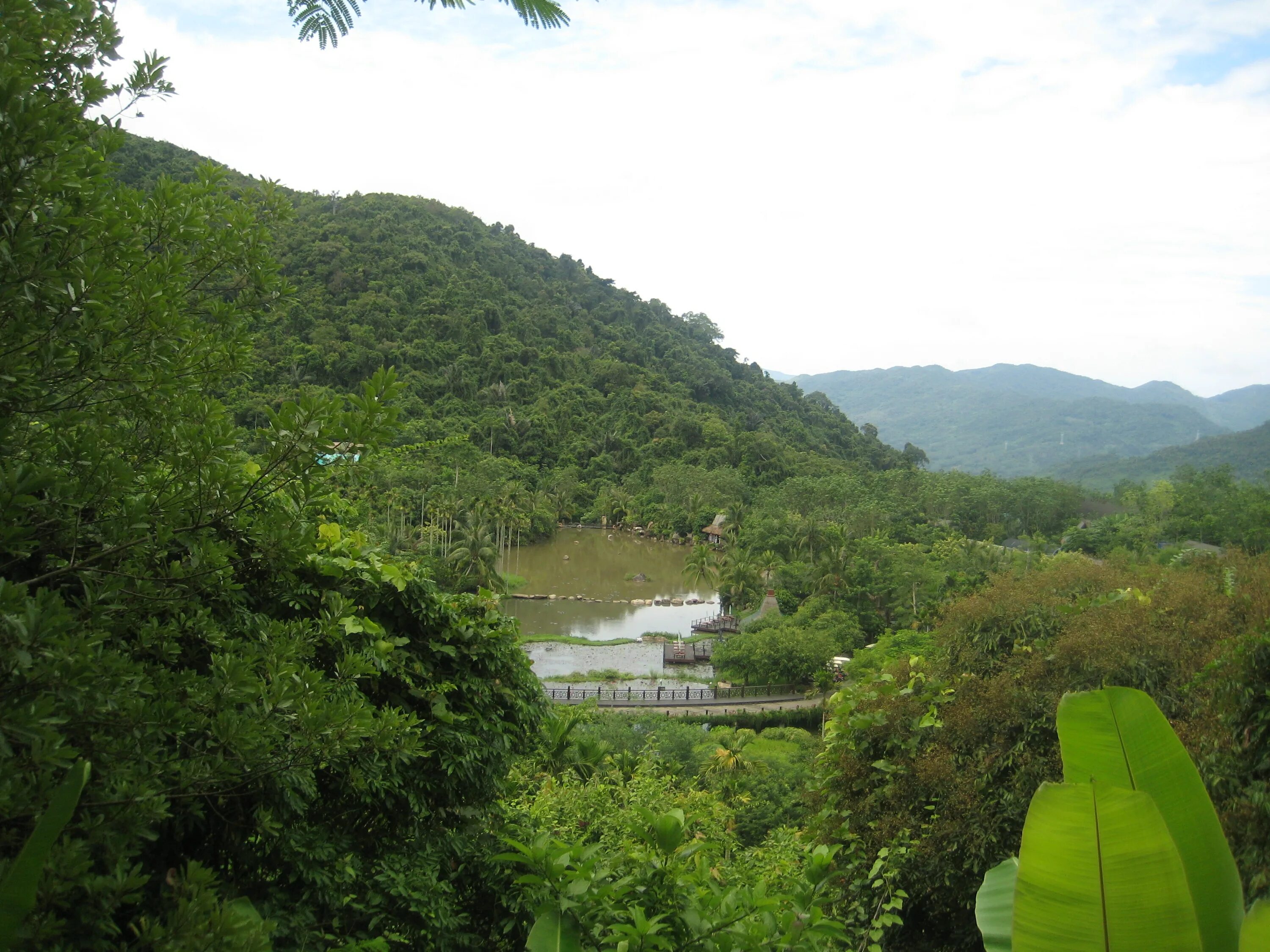 Парк янода хайнань фото. Тропический лес янода. Тропический лес янода. Джунгли янода хайнань. Тропический лес янода хайнань.