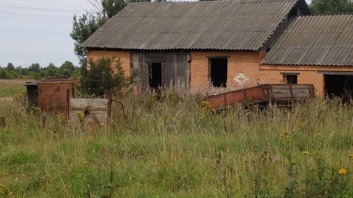 Деревня б н. Заброшенные села Пензенской области. Колхоз гигант Тверская область Краснохолмский район. Деревня Новочеркасское Воскресенский район. Заброшенные деревни Колосовский район Омская область.