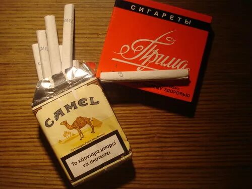 Сигареты camel filters. Camel 100s в мягкой пачке. сигареты camel usa без фильтра. сигареты camel 100s. кэмел без фильтра.