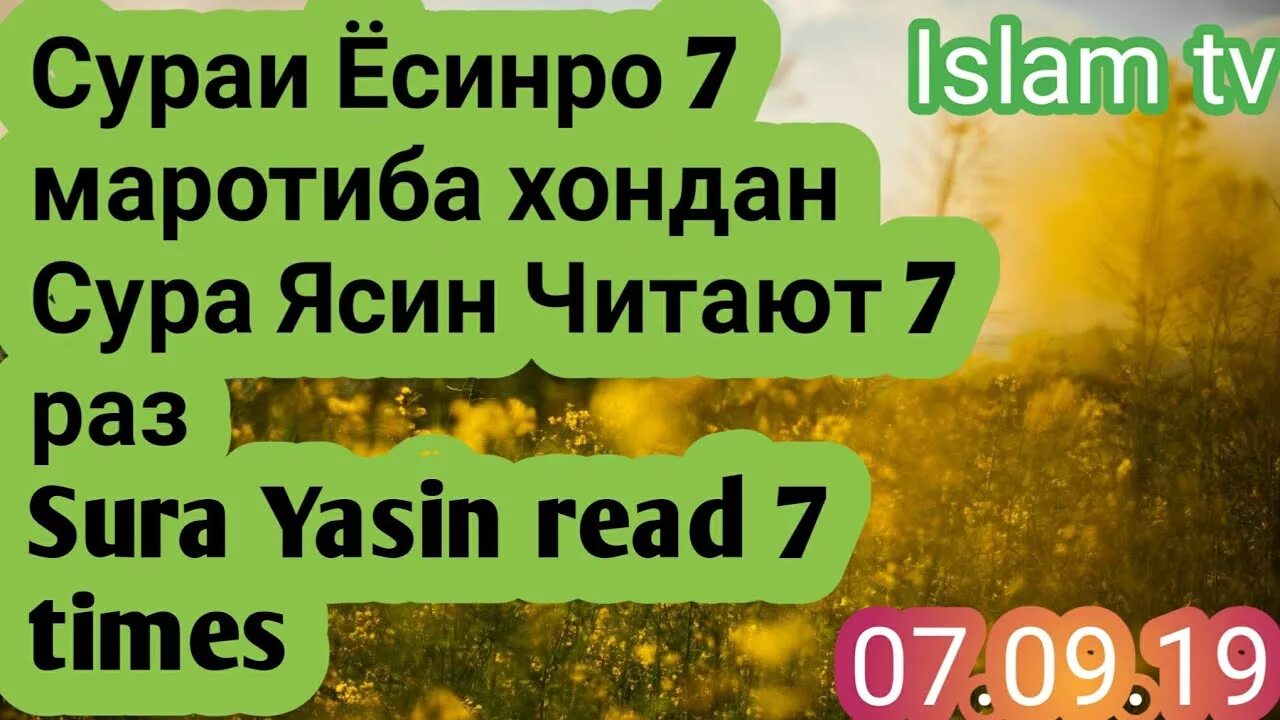 Сура ясин чтение слушать. Сураи Ёсин. Сура ясин. Сура ясин точики. Сура хазрати ясин.