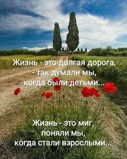 Долгий путь жизни