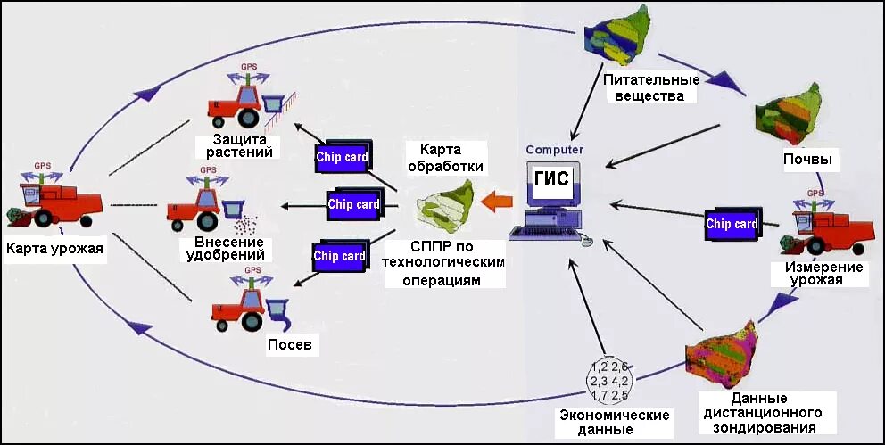 ГИС технологии в сельском хозяйстве. Схема применения ГИС. Географические информационные системы (GIS) В сельском хозяйстве. Геоинформационные системы в растениеводстве.