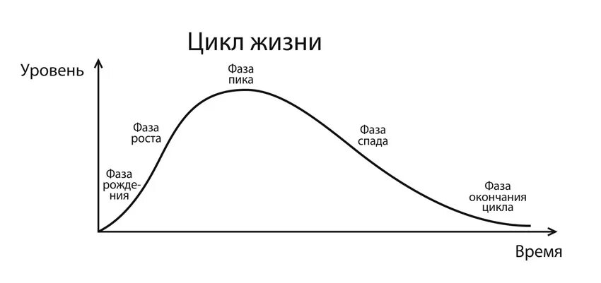 Разговор циклами. Жизненный цикл человека схема. Стадии жизненного цикла человека. Жизненный цикл человека график. Этапы жизненного цикла человека.