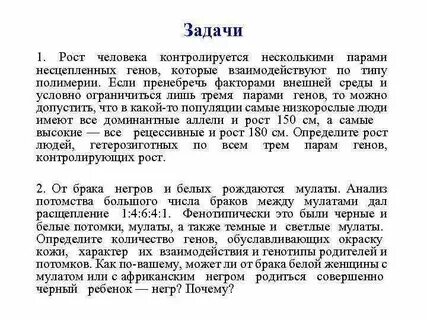Рост в геншин