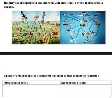 На рисунке представлены экосистема
