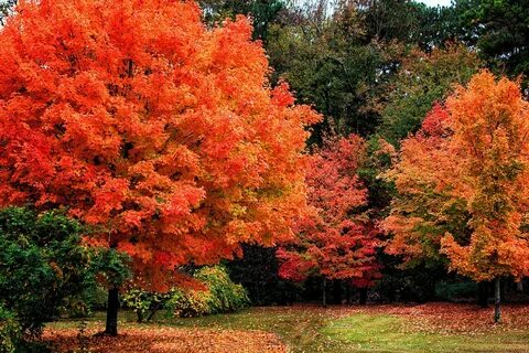 Fall 8