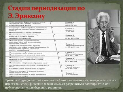 Стадии периодизации по эриксону