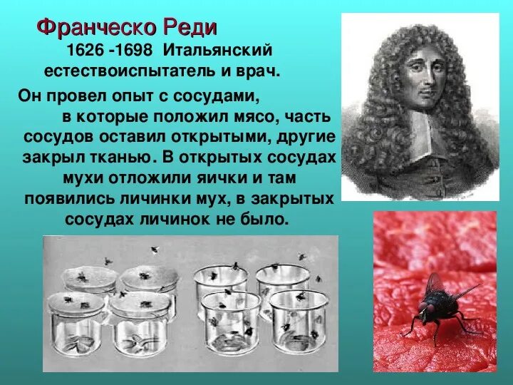 Покажи реди. Франческо реди. Опыт реди. Гипотеза самозарождения франческо реди. Франческо реди опыт с мясом и мухами.