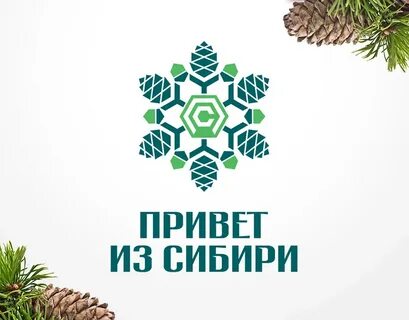 Любою из сибири
