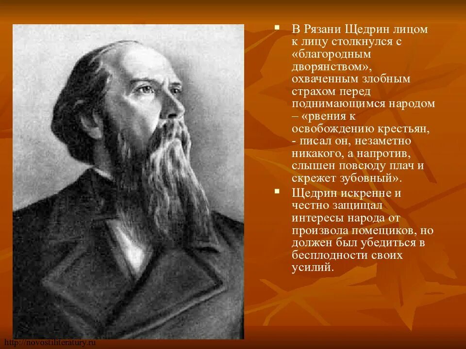 Произведения салтыкова щедрина кратко. Салтыков Щедрин 1889. Салтыков Щедрин в Рязани.