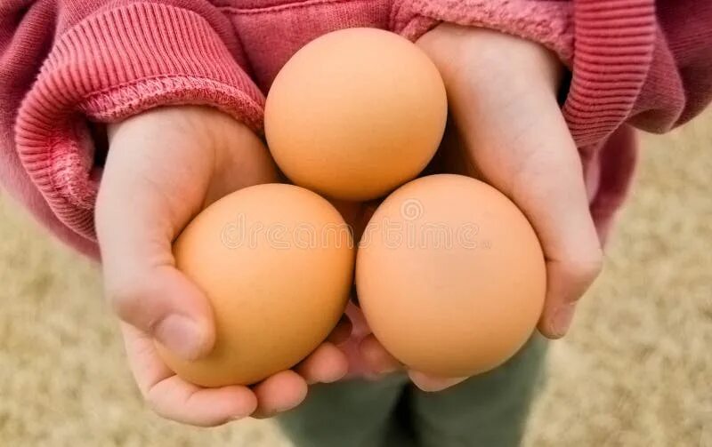 Яйца мальчишки. Большое яичко мальчик
