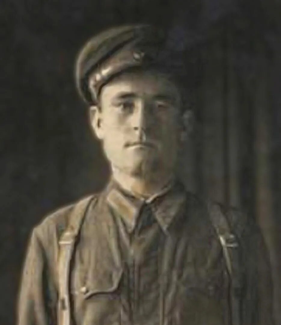 Виталий семенович толстиков тайны сороковки. Обложка книги новоселов н. Доктор биологических наук. Батальонный комиссар с. Тайна сороковки.