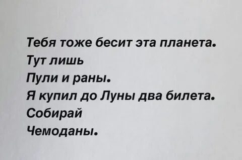 Шалчюс стихи
