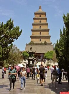 Pagoda bugun