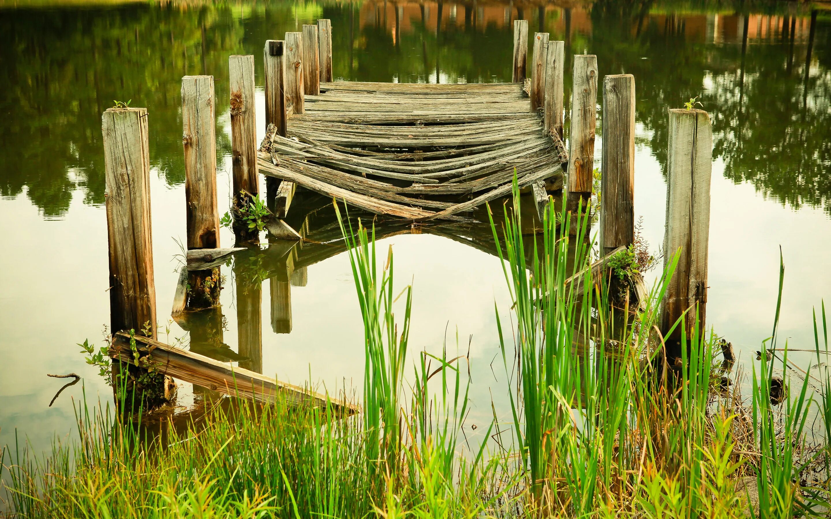 Озеро плетень пильге. Прудик речка мостик.деревня. Пирс на болотистом озере. Мостки на озере. Значение водоема в природе