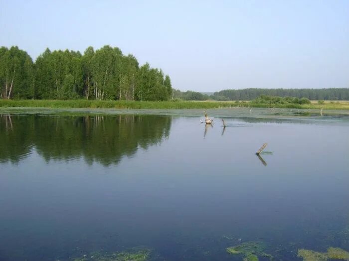 Пруд на реке Рассохе Свердловской области. Река Рассоха Свердловская область. Бобровский пруд. Разделение озёр.