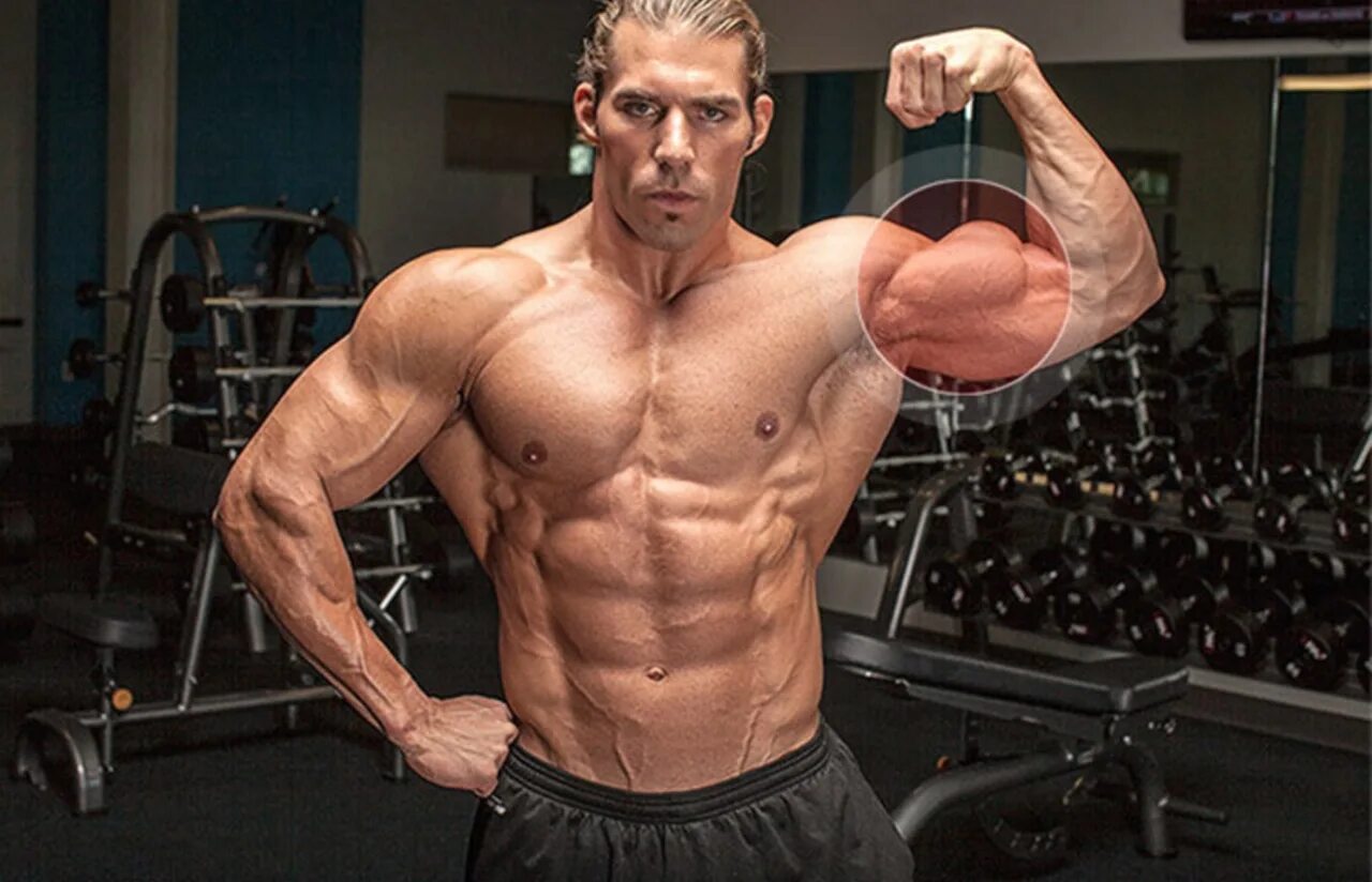 Красивые мышцы. Накаченный бицепс. Накаченные руки. Накаченные мужские руки. Мускулистая рука.