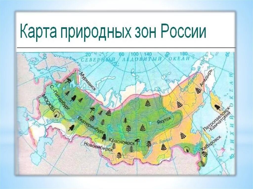 Распределите природные зоны севера россии. Природные зоны карта России карта России. Карта природных зон России широколиственные леса. Зона лесов на карте России. Природная зона лесов на карте России.